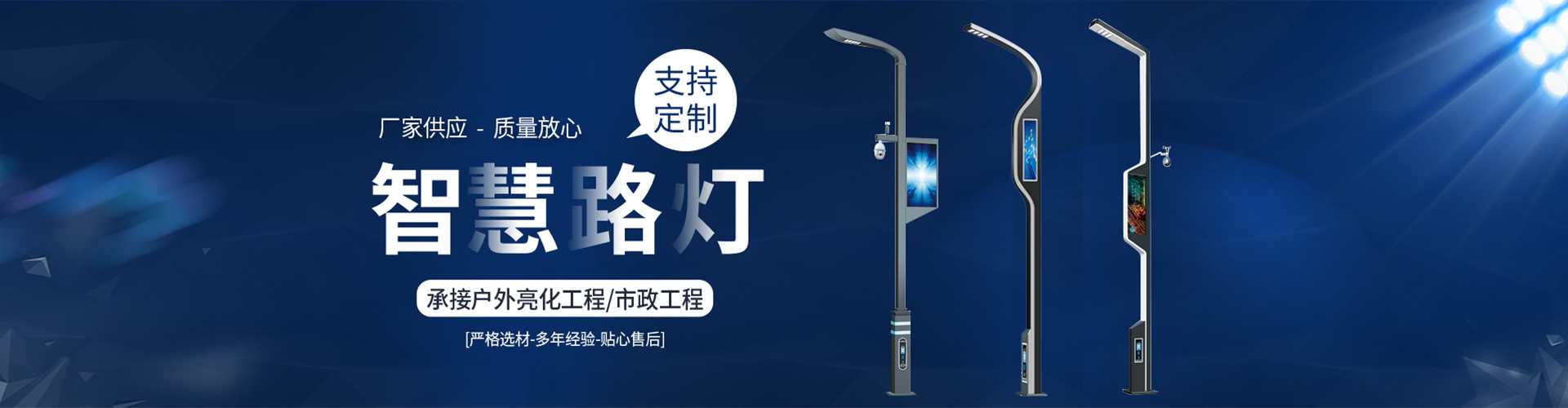 通山县太阳能路灯定制厂家