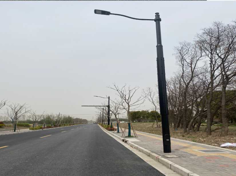 通山县上海综合杆 太阳能路灯工程